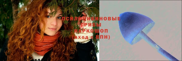 соль ск Алексеевка