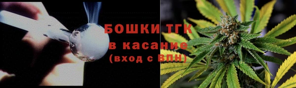 соль ск Алексеевка